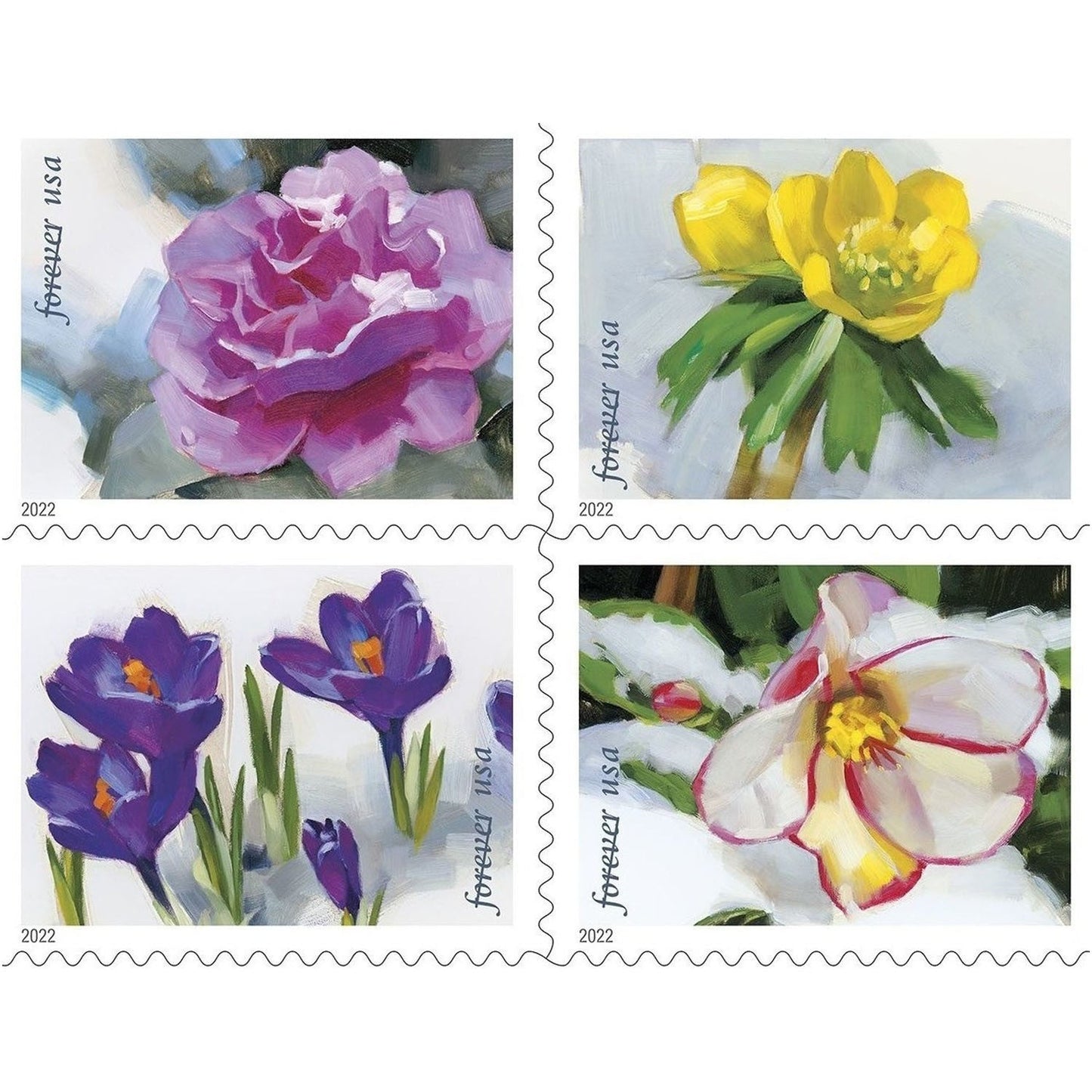 Snowy Beauty Stamps Bloom Forever 2022 First-Class Forever Stamps 100pcs