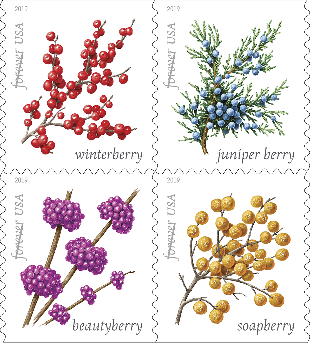Winter Berries 2019 First-Class Forever Stamps 100pcs
