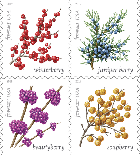 Winter Berries 2019 First-Class Forever Stamps 100pcs