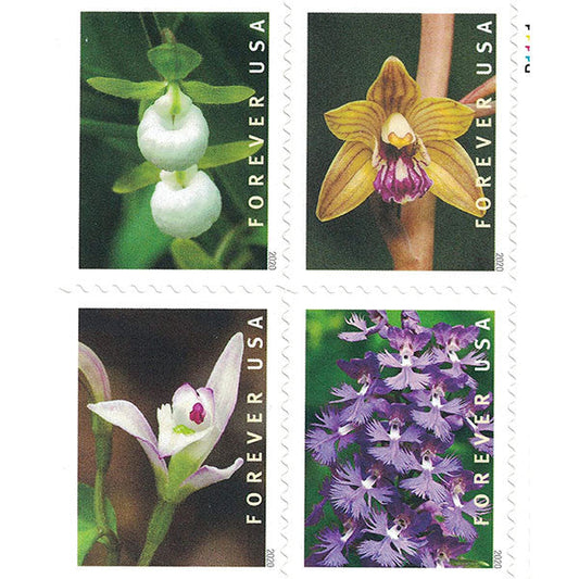 Wild Orchids (U.S. 2020) Forever Stamps 100 pcs