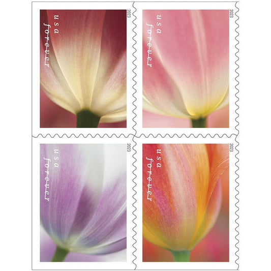 Tulips Blossom Stamps 2023 Forever Stamps 100 pcs