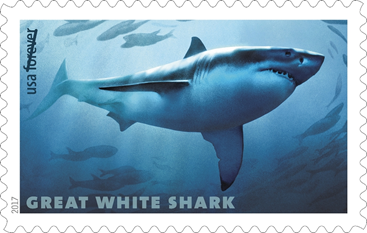 Sharks 2017 Forever Stamps 100 pcs